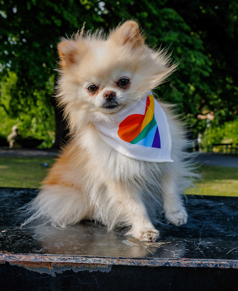 Bandana for hund – Hjerte